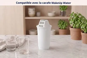 Cartouches filtrantes x2 pour carafe WakeUp Water