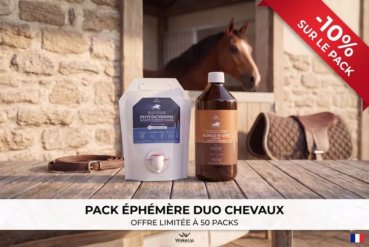 Pack Duo Mobilit&eacute; & Vitalit&eacute;