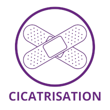 cicatrisation